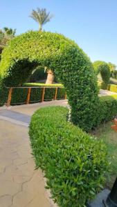 Rehana Royal Beach Resort - Aquapark & Spa - Family & Couples Only - 9