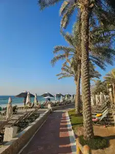 Occidental Sharjah Grand - 48