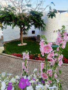 Labranda Sharm Club - 54