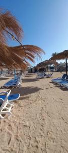 Sharm Bride Resort Aqua & SPA - 42
