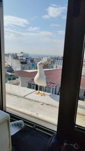 Delta Istanbul - 57