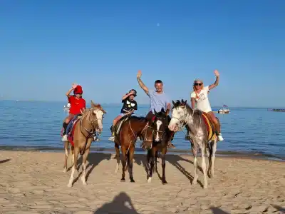 Caribbean World Resort Soma Bay - 33