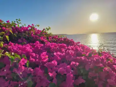 Stella Di Mare Beach & Spa - 22