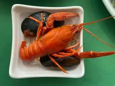 Pashas Princess by Werdes - Adult Only - 72