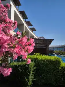 Tuı Magic Life Jacaranda - 9