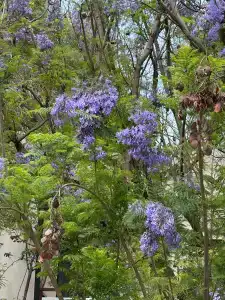 DoubleTree by Hilton Bodrum Isıl Club Resort - ULTRA ALL INCLUSIVE - 39