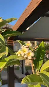 Steigenberger Resort Ras Soma - 17