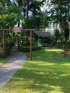Avani Plus Khao Lak Resort - 41