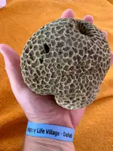 Happy Life Village Dahab - 77