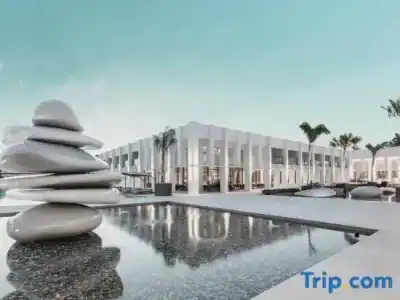 Paloma Finesse Side - 35