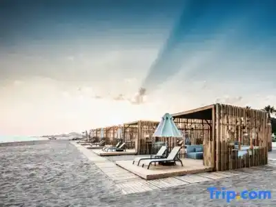 Paloma Finesse Side - 75