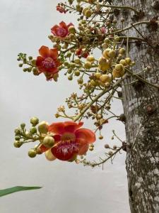 Sea Sand Sun Resort and Villas - SHA Plus - 31