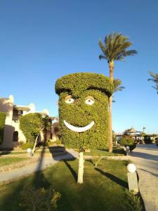 Ali Baba Palace -Families and Couples Only- - 33