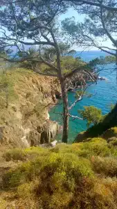 Lykia Botanika Beach Fun & Club - All Inclusive - 92