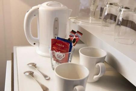 Hôtel Diana Dauphine - 17