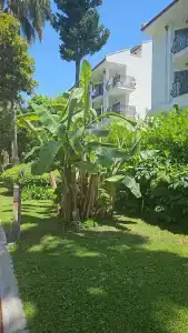 Aydinbey Famous Resort - 71