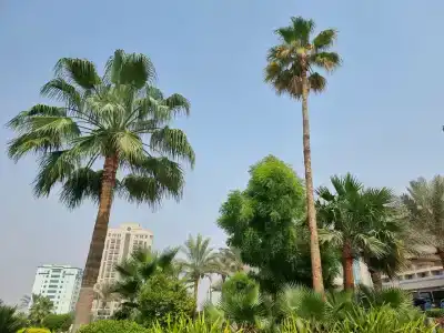 Hilton Garden Inn Ras Al Khaimah - 91