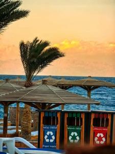 Palm Beach Resort Families and Couples only - 92