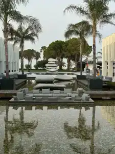 Paloma Finesse Side - 10