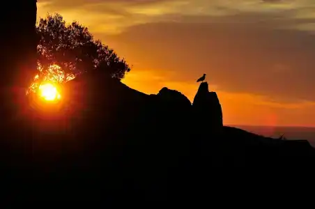 Arbatax Park Resort - Dune - 4