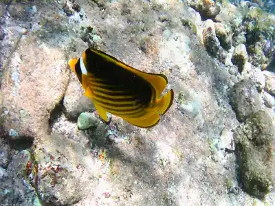 Amphoras Beach - 11