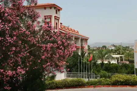 Fun&Sun Smart Hane Sun - 59