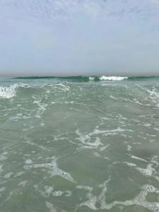 Novotel Sharjah Expo Centre - 84