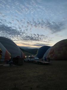 Euphoria Palm Beach Resort - 67