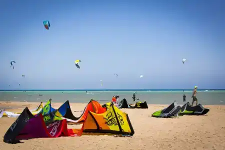 Cook’s Club El Gouna (Adults Only) - 4