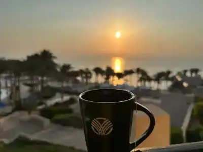 Grand Rotana Resort & Spa - 9