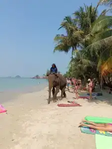 Kaibae Hut Resort - 7