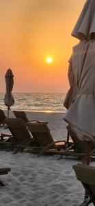 Saadiyat Rotana Resort and Villas - 55