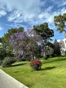 Rixos Sungate - The Land of Legends Access - 23