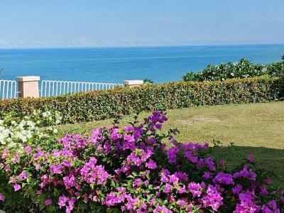Asia Pattaya - 63