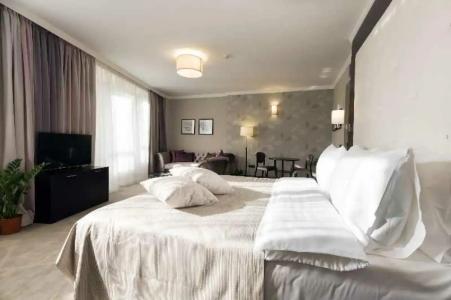 Constantine the Great - 46