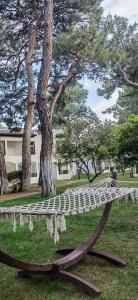 Emelda Sun Club - 30