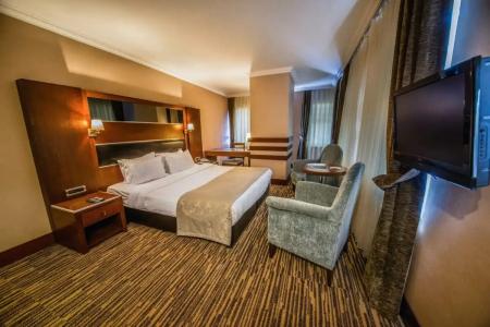 Dream Hill Business Deluxe Istanbul Asia - 92