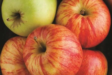 La Quinta by Wyndham New York City Central Park - 66