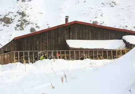 Polat Palandöken - 85