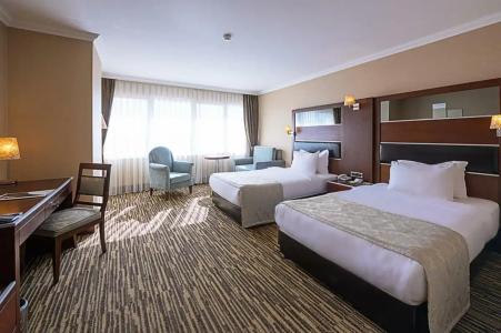 Dream Hill Business Deluxe Istanbul Asia - 98