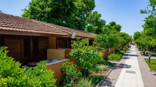 Ozlem Garden - All Inclusive - 83