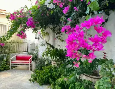 Azize Palas Apart Otel - 6