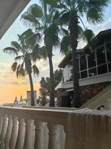 Sunny Hill Alya - 35