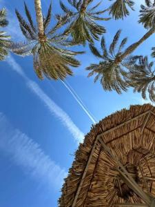 Rixos Sharm El Sheikh - Ultra All Inclusive Adults Only 18 Plus - 63