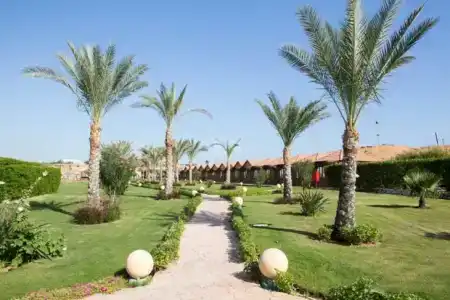 Xperience Golden Sandy Beach - 38