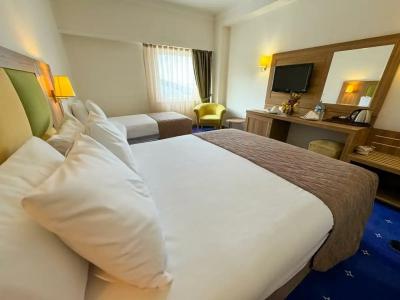 Palan Ski & Convention Resort - 55