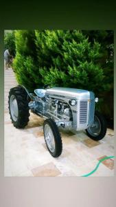 Petunya Konak Boutique - 63