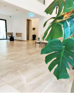 Roseum Boutique - 29