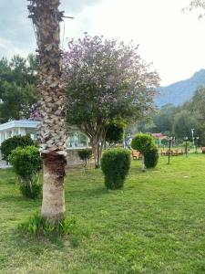 Loxia Comfort Resort Kemer - 56