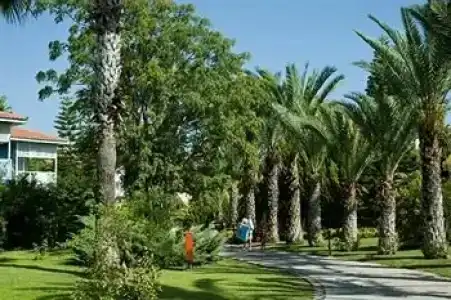 Euphoria Palm Beach Resort - 9